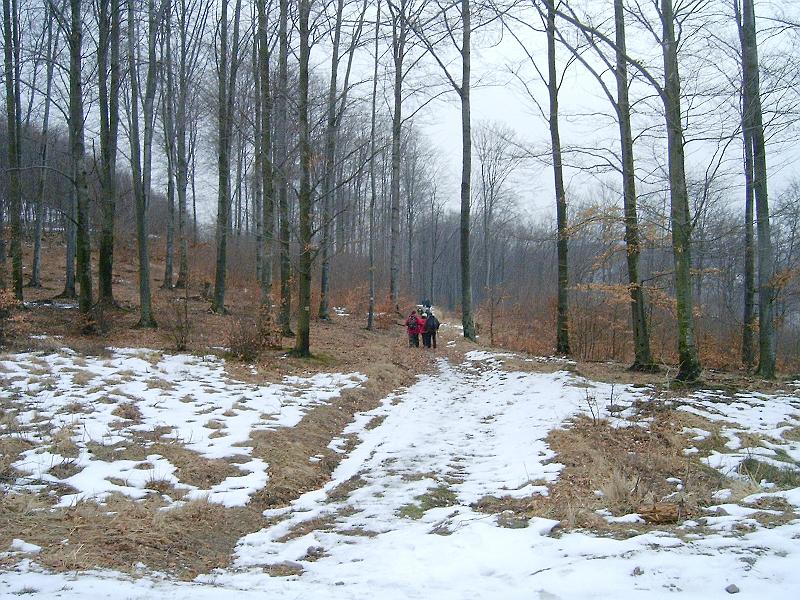 20110219 043.jpg